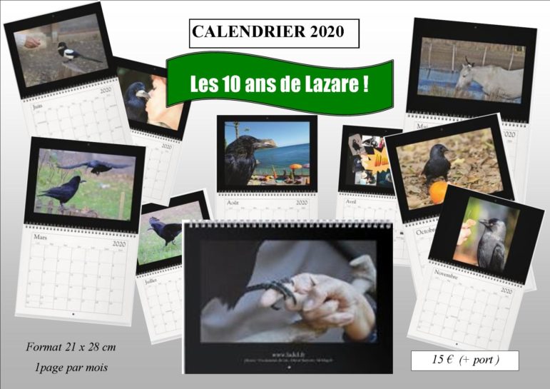 Calendrier 2020