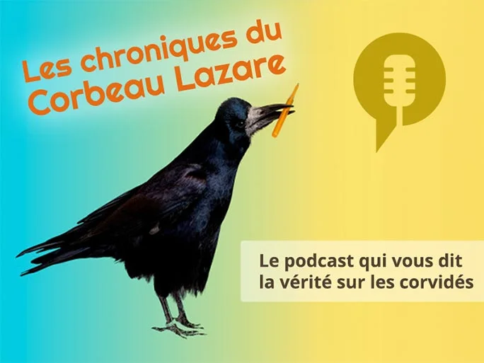 Podcast LADeL