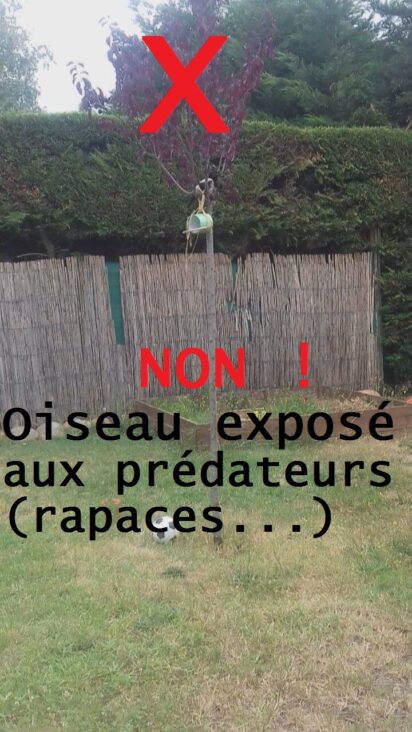 arbuste inadapté pour restitution