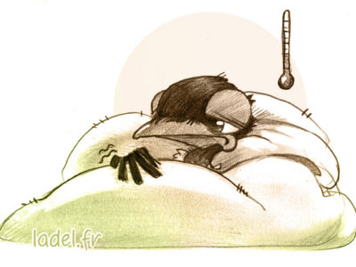 oisillon malade faible