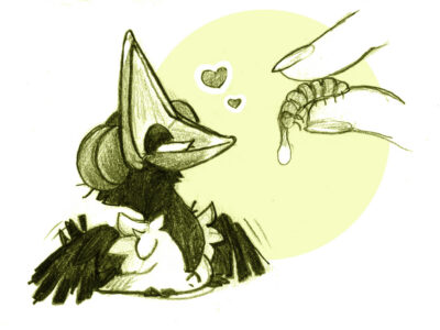 nourrir bébé oiseau