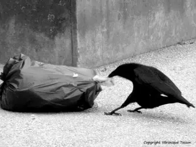 Vous rencontrez des problématiques de cohabitation