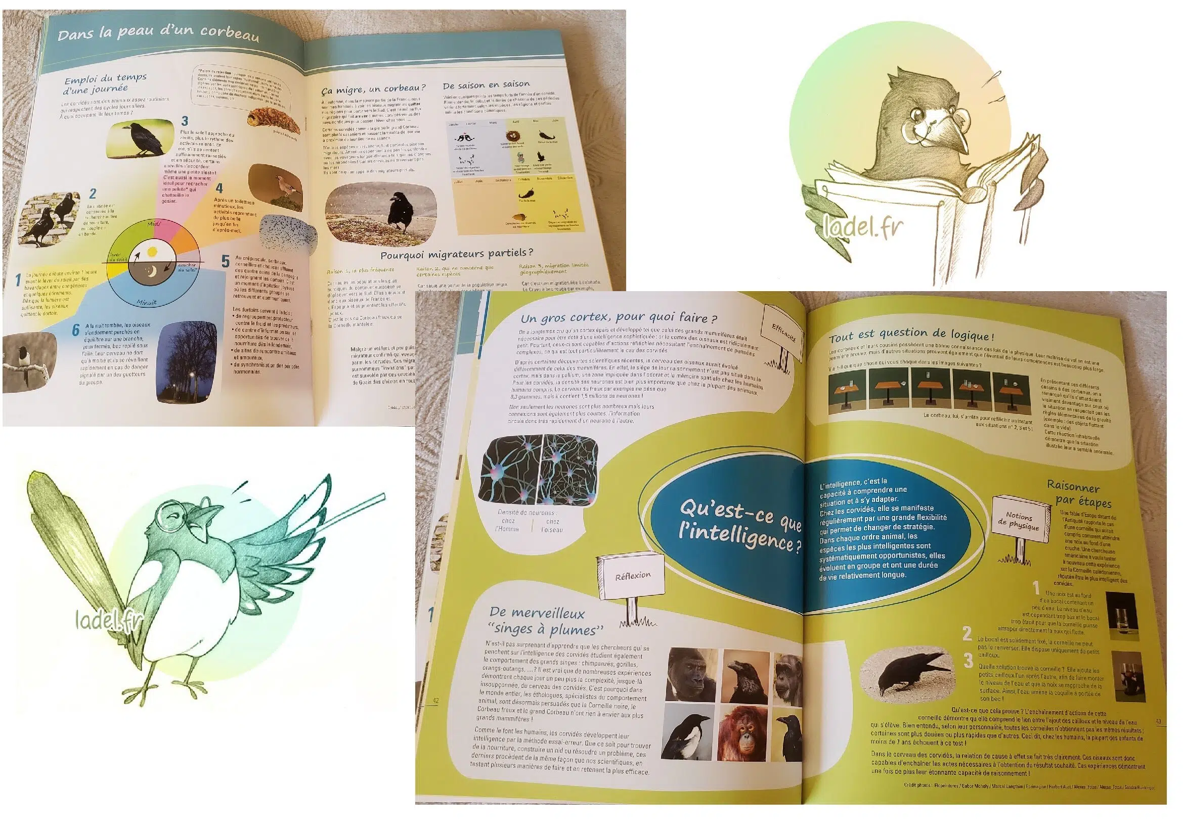 Lectures et ressources