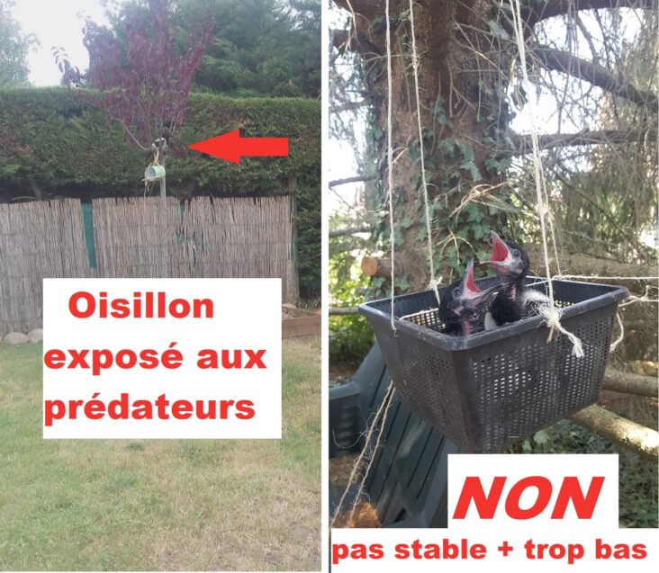 installations inadaptées