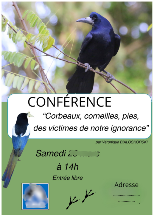 conference corbeaux