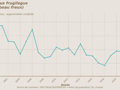 corvus_frugilegus_2000-2023_officiel